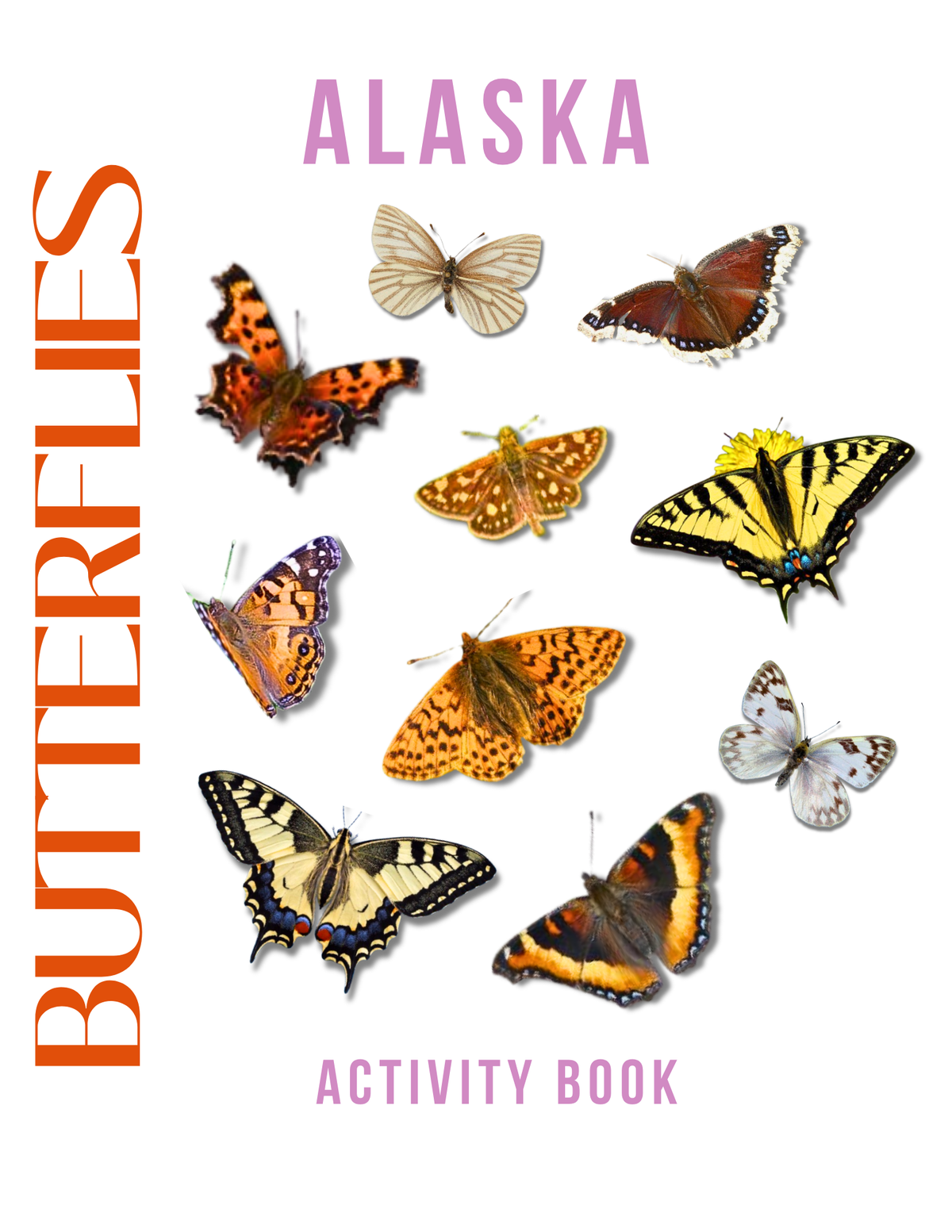 Alaska Nature Gift Set for Kids Ages 7-12 – 5 Activity Books + Canvas Tote (Birds, Butterflies, Wildflowers, Leaves & Seashells)