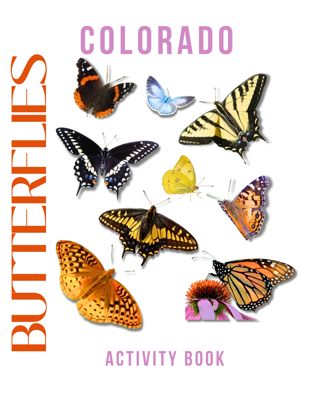 Colorado Nature Gift Set for Kids Ages 7-12 – 4 Activity Books + Canvas Tote (Birds, Butterflies, Wildflowers & Leaves)
