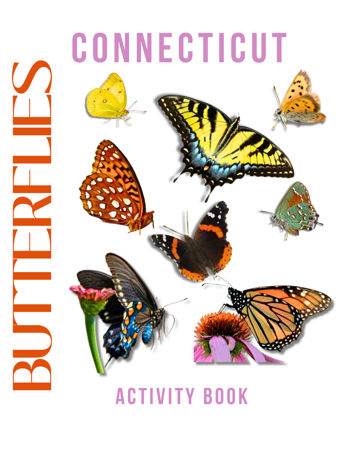 Connecticut Nature Gift Set for Kids Ages 7-12 – 5 Activity Books + Canvas Tote (Birds, Butterflies, Wildflowers, Leaves & Seashells)