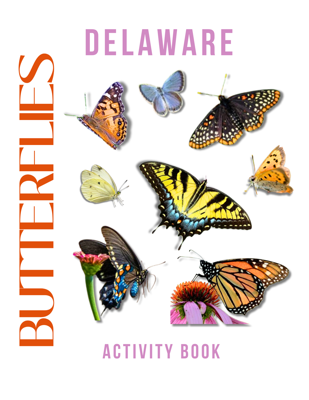 Delaware Nature Gift Set for Kids Ages 7-12 – 5 Activity Books + Canvas Tote (Birds, Butterflies, Wildflowers, Leaves & Seashells)
