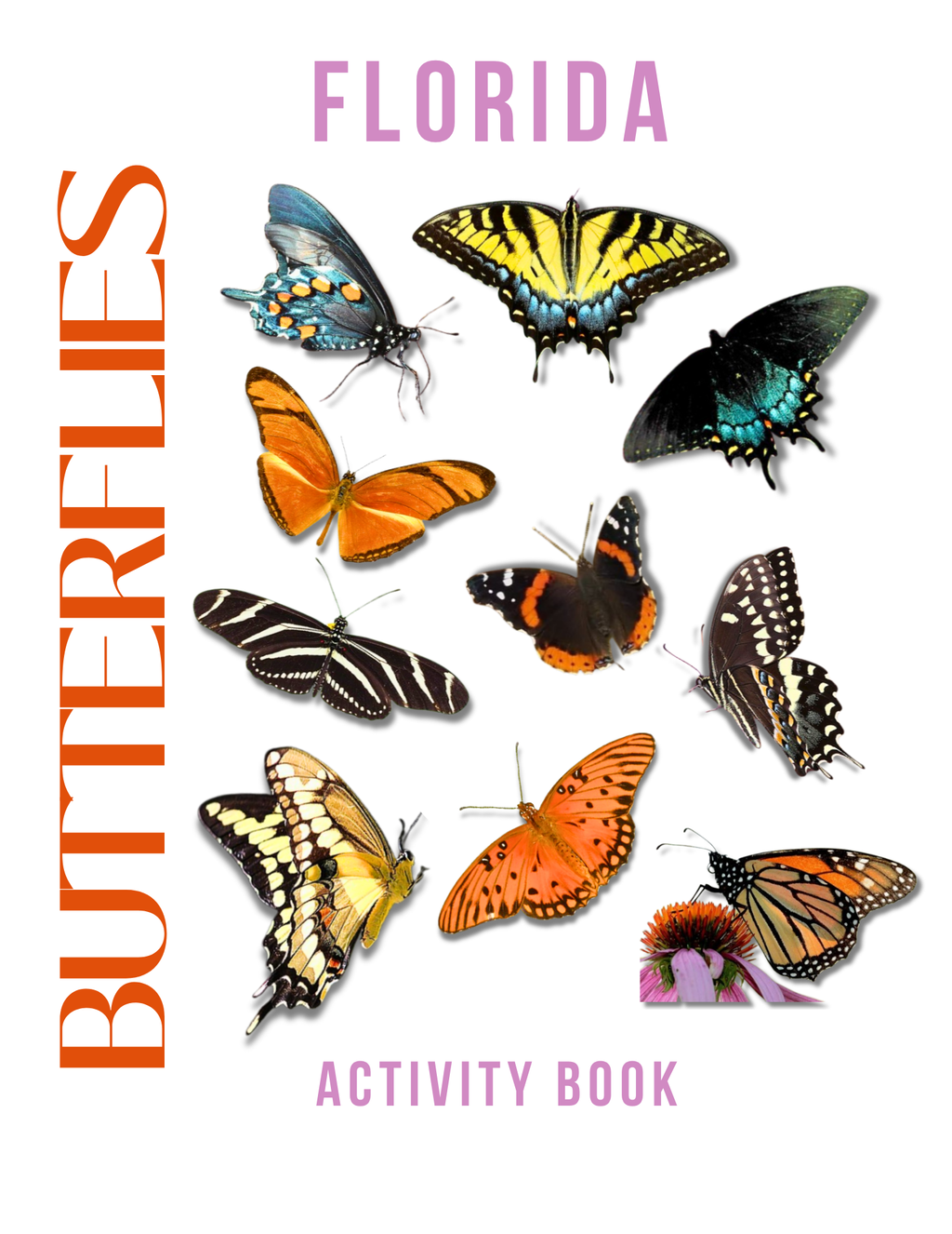 Florida Nature Gift Set for Kids Ages 7-12 – 5 Activity Books + Canvas Tote (Birds, Butterflies, Wildflowers, Leaves & Seashells)