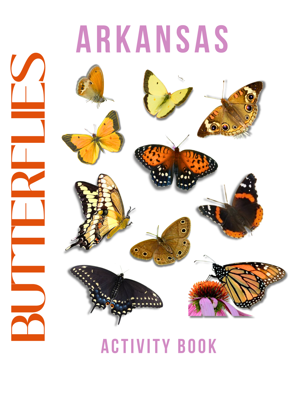 Arkansas Nature Gift Set for Kids Ages 7-12 – 4 Activity Books + Canvas Tote (Birds, Butterflies, Wildflowers & Leaves)