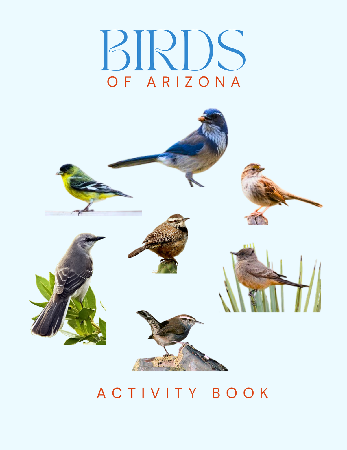 Arizona Nature Gift Set for Kids Ages 7-12 – 4 Activity Books + Canvas Tote (Birds, Butterflies, Wildflowers & Leaves)