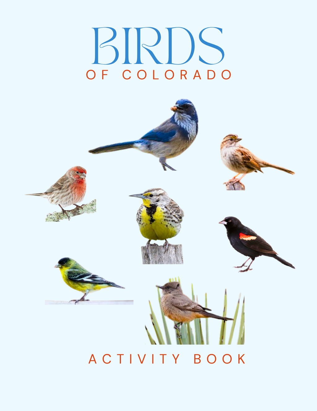 Colorado Nature Gift Set for Kids Ages 7-12 – 4 Activity Books + Canvas Tote (Birds, Butterflies, Wildflowers & Leaves)