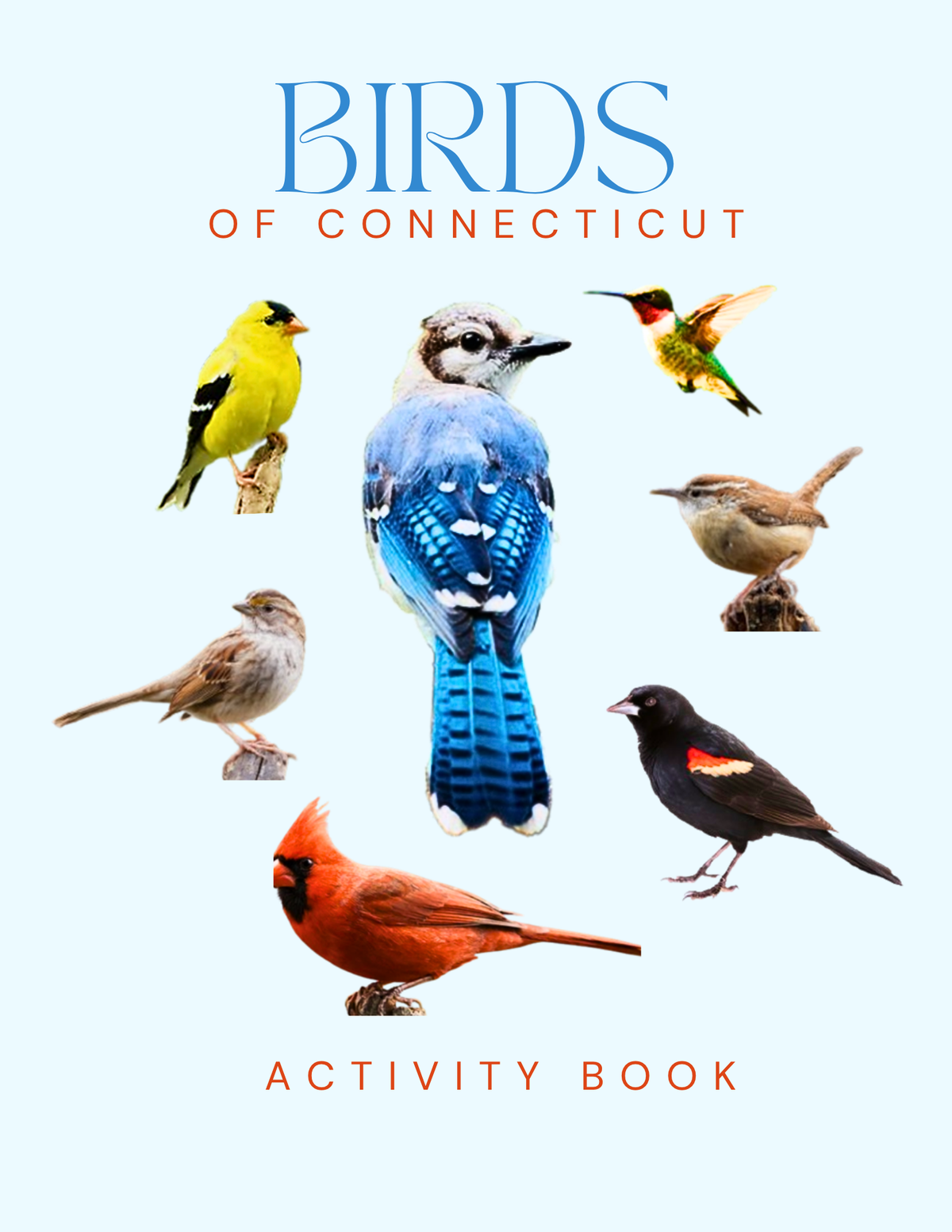 Connecticut Nature Gift Set for Kids Ages 7-12 – 5 Activity Books + Canvas Tote (Birds, Butterflies, Wildflowers, Leaves & Seashells)