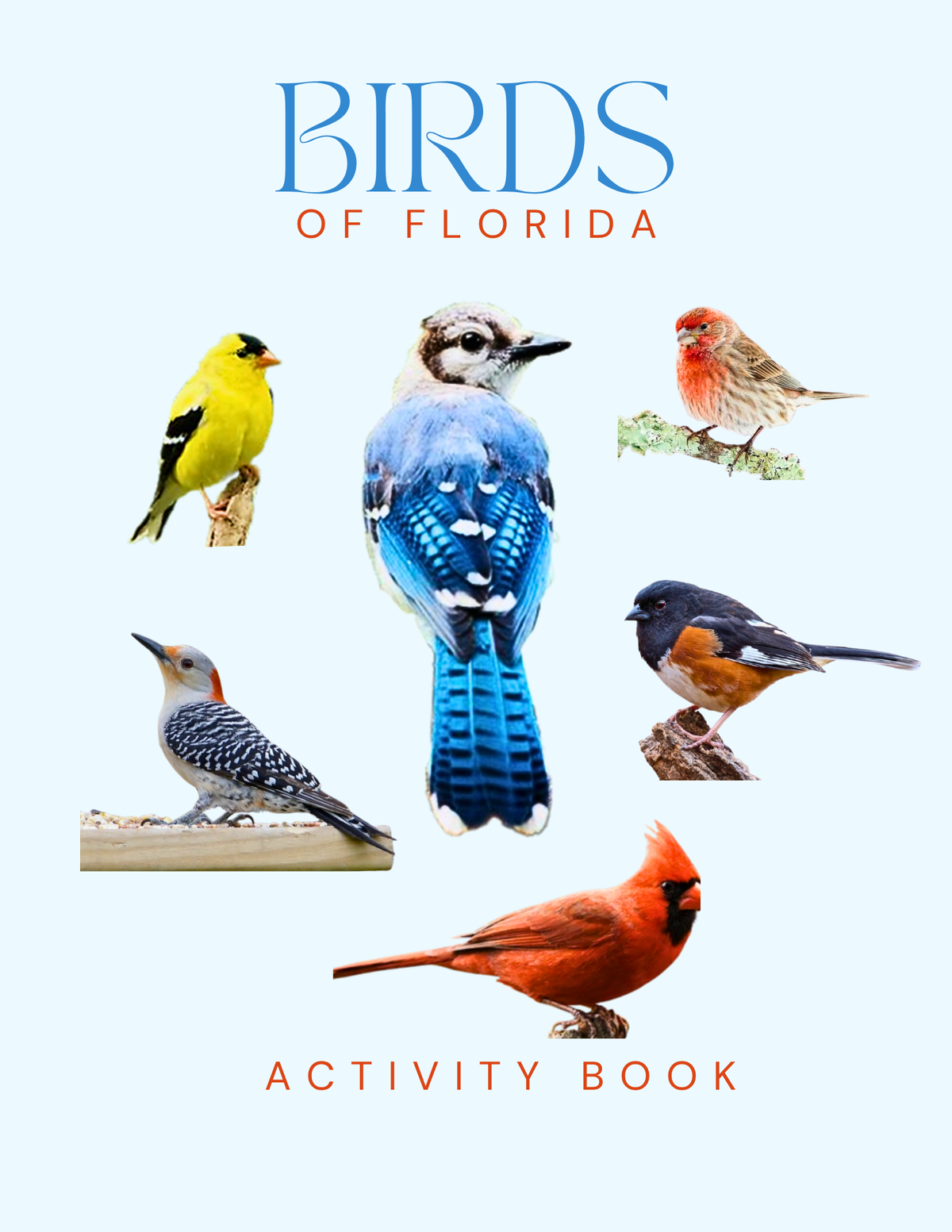 Florida Nature Gift Set for Kids Ages 7-12 – 5 Activity Books + Canvas Tote (Birds, Butterflies, Wildflowers, Leaves & Seashells)