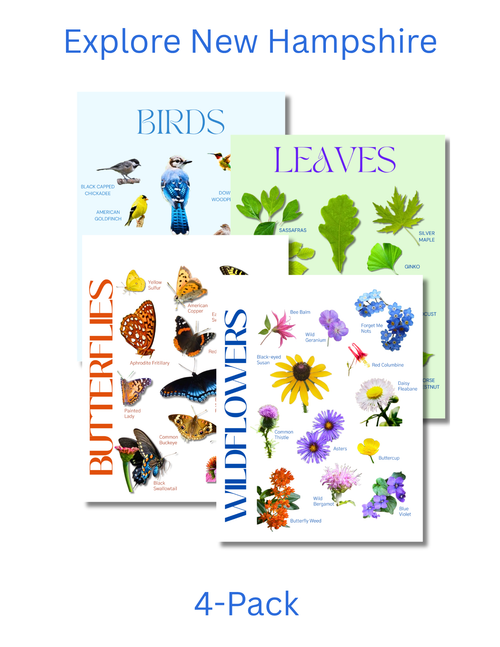 New Hampshire Complete Nature Explorer Pack