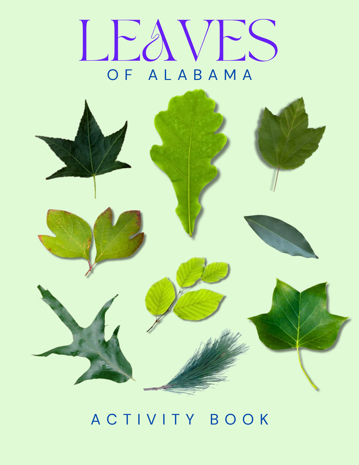 Alabama Nature Gift Set for Kids Ages 7-12 – 4 Activity Books + Canvas Tote (Birds, Butterflies, Wildflowers & Leaves)