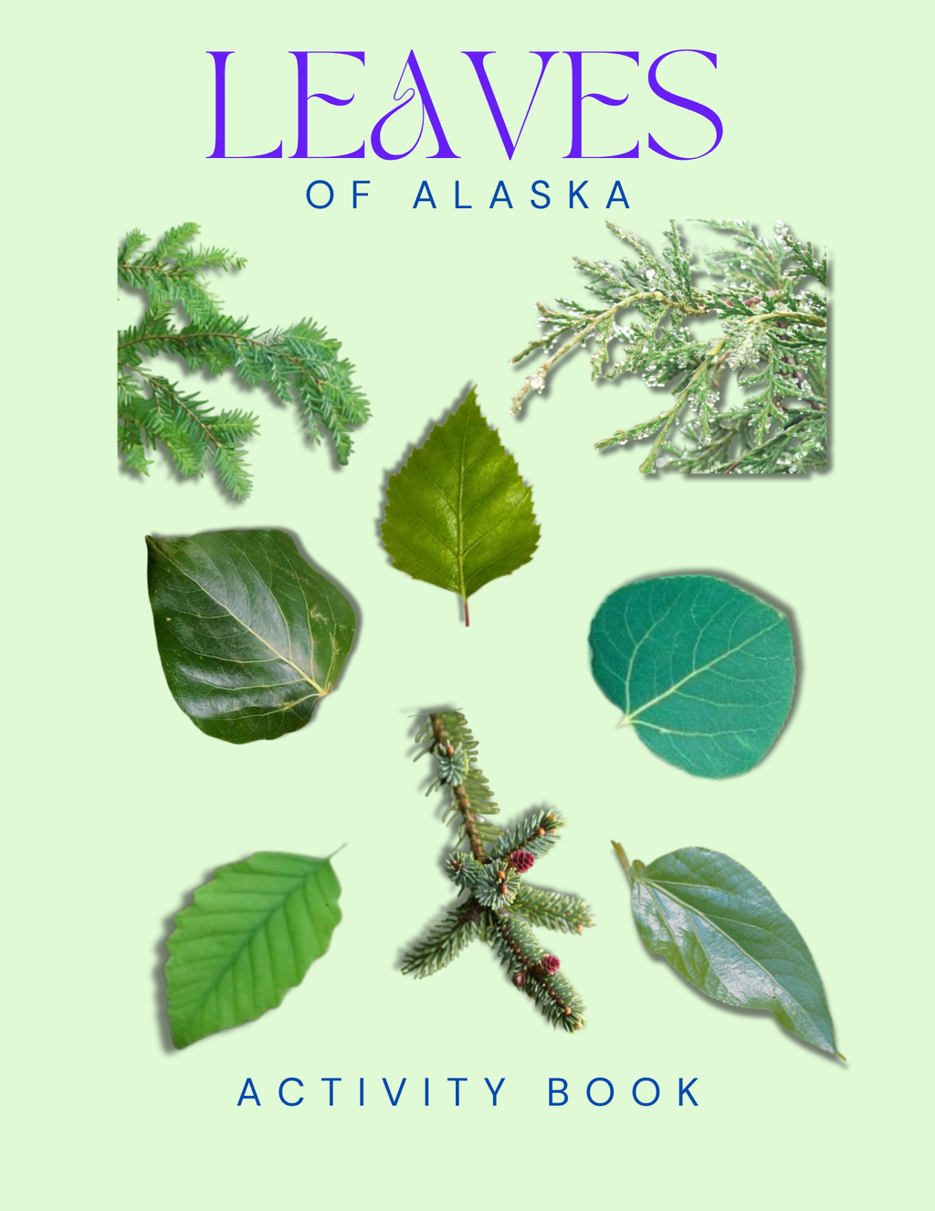 Alaska Nature Gift Set for Kids Ages 7-12 – 5 Activity Books + Canvas Tote (Birds, Butterflies, Wildflowers, Leaves & Seashells)