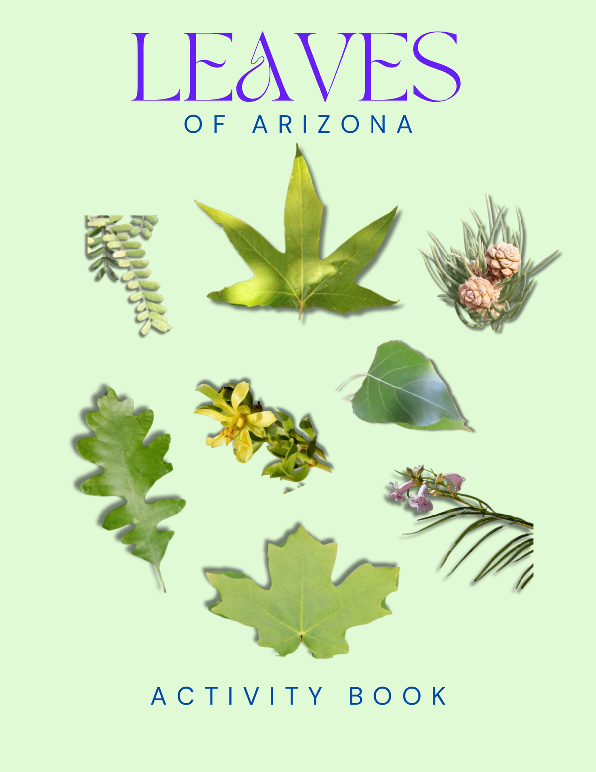 Arizona Nature Gift Set for Kids Ages 7-12 – 4 Activity Books + Canvas Tote (Birds, Butterflies, Wildflowers & Leaves)
