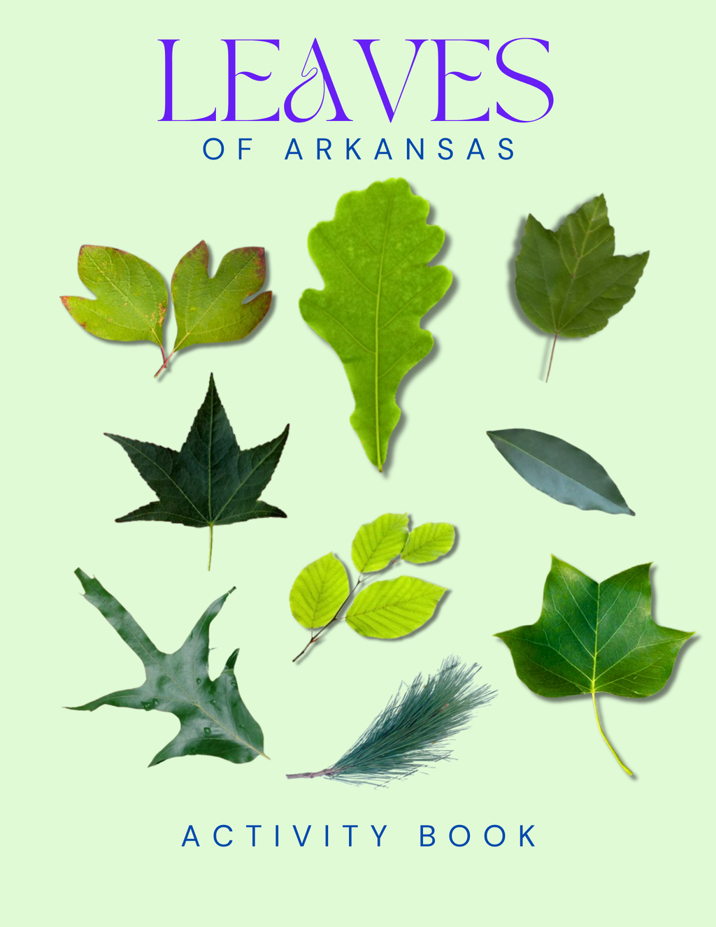 Arkansas Nature Gift Set for Kids Ages 7-12 – 4 Activity Books + Canvas Tote (Birds, Butterflies, Wildflowers & Leaves)