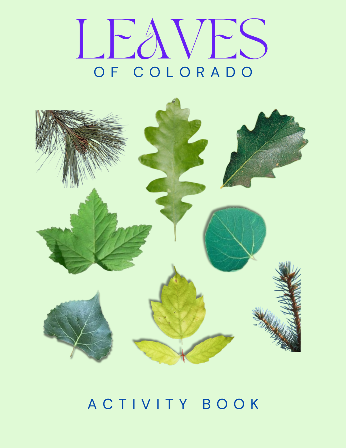 Colorado Nature Gift Set for Kids Ages 7-12 – 4 Activity Books + Canvas Tote (Birds, Butterflies, Wildflowers & Leaves)