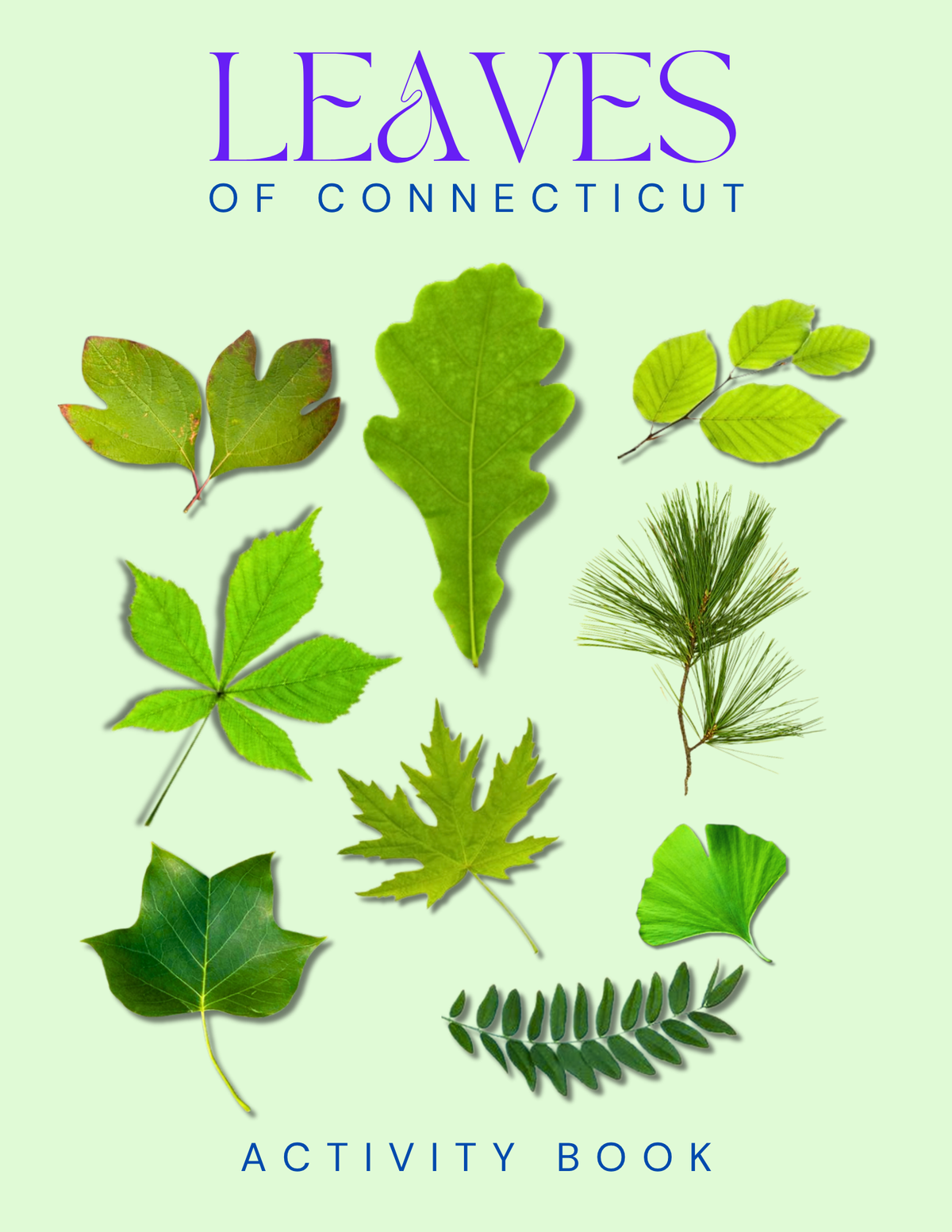 Connecticut Nature Gift Set for Kids Ages 7-12 – 5 Activity Books + Canvas Tote (Birds, Butterflies, Wildflowers, Leaves & Seashells)