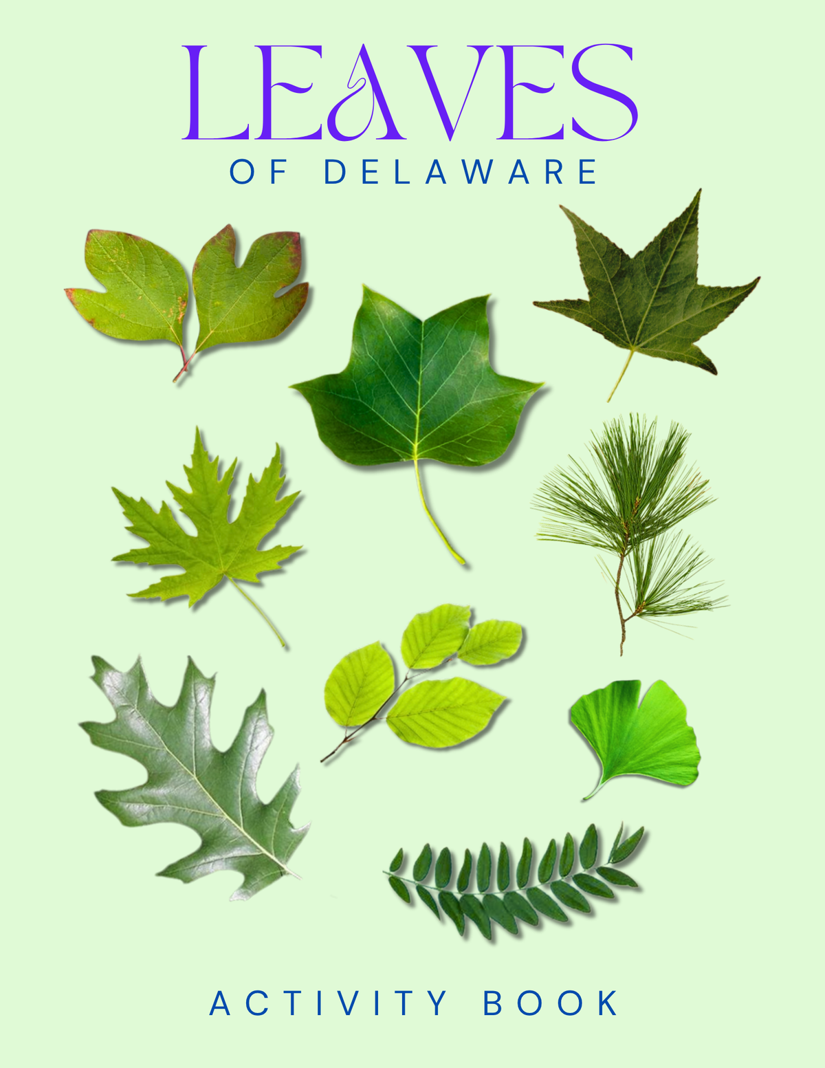 Delaware Nature Gift Set for Kids Ages 7-12 – 5 Activity Books + Canvas Tote (Birds, Butterflies, Wildflowers, Leaves & Seashells)