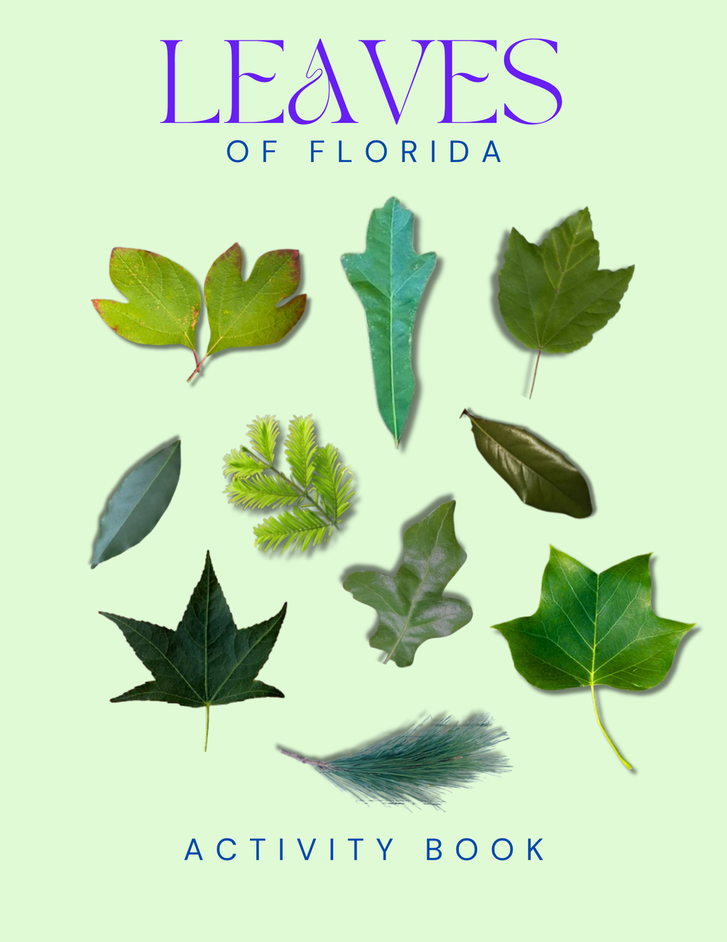 Florida Nature Gift Set for Kids Ages 7-12 – 5 Activity Books + Canvas Tote (Birds, Butterflies, Wildflowers, Leaves & Seashells)