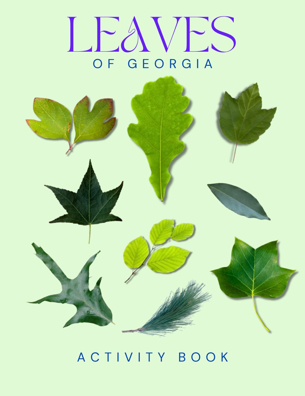 Georgia Nature Gift Set for Kids Ages 7-12 – 5 Activity Books + Canvas Tote (Birds, Butterflies, Wildflowers, Leaves & Seashells)