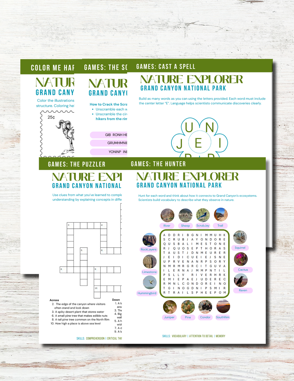Grand Canyon Activity Book for Kids