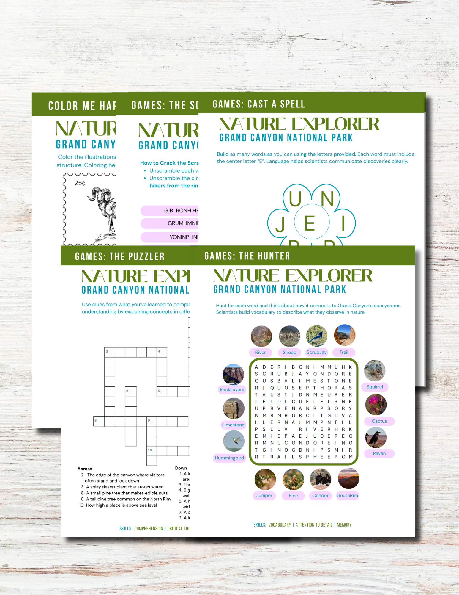Grand Canyon Activity Book for Kids