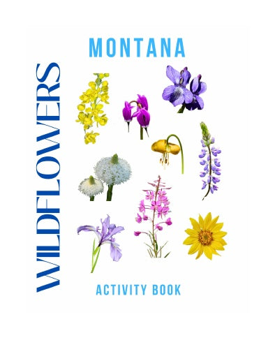 Wildflowers of Montana Activity Book for Kids