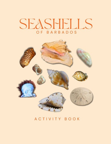Seashells of Barbados Activity Book for Kids Cover