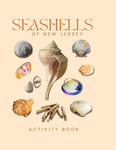 Seashells of New Jersey Activity Book for Kids