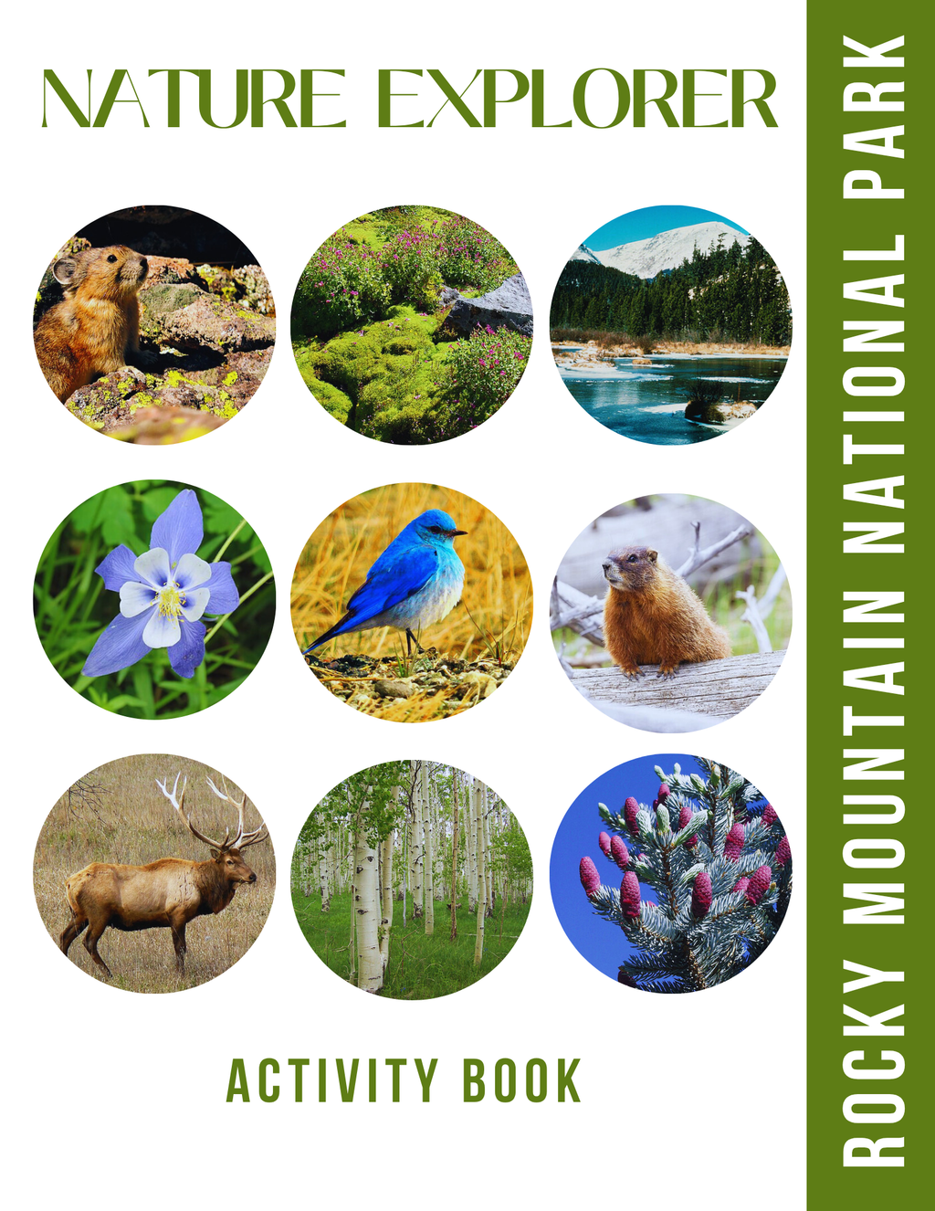 Rocky Mountain National Park Activity Book for Kids