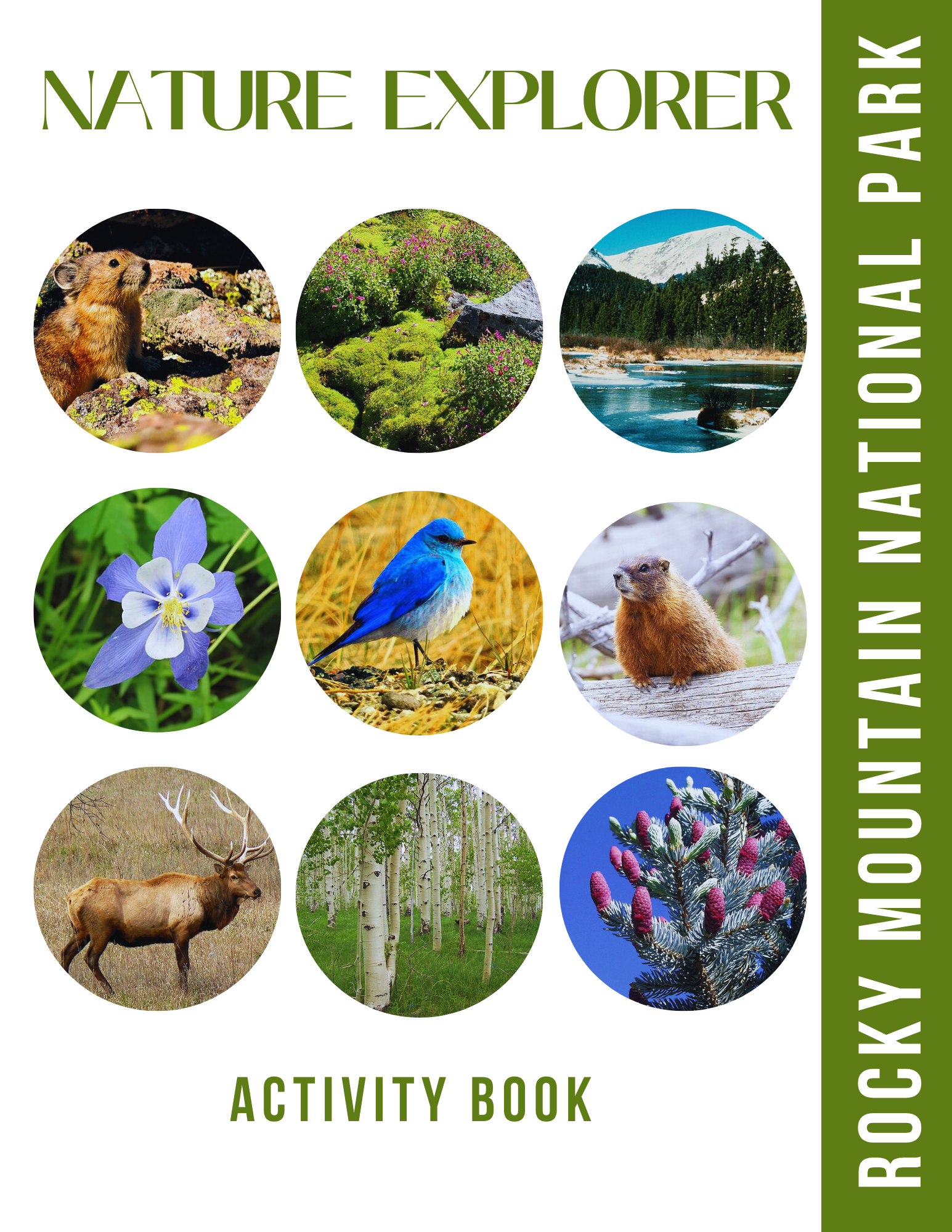 Rocky Mountain National Park Activity Book for Kids