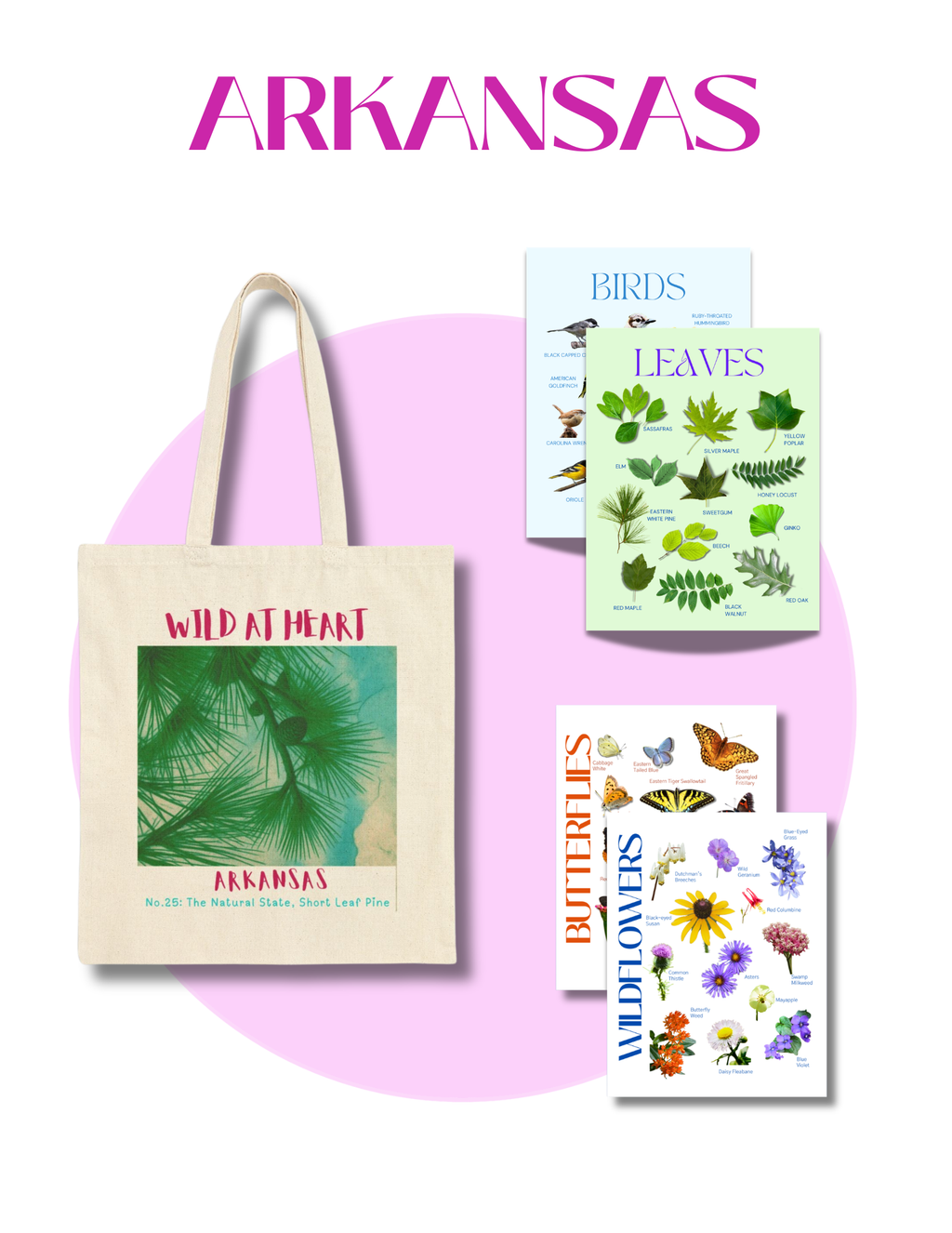 Arkansas Nature Gift Set for Kids Ages 7-12 – 4 Activity Books + Canvas Tote (Birds, Butterflies, Wildflowers & Leaves)