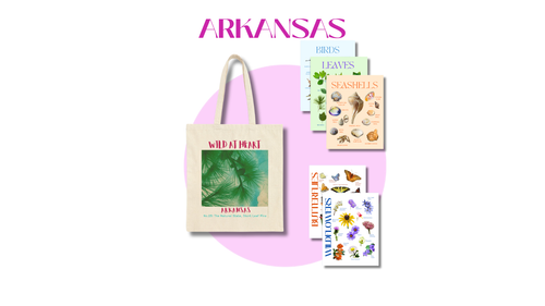 Arkansas Nature Explorer Gift Set – 4 Activity Books + Wild at Heart Tote