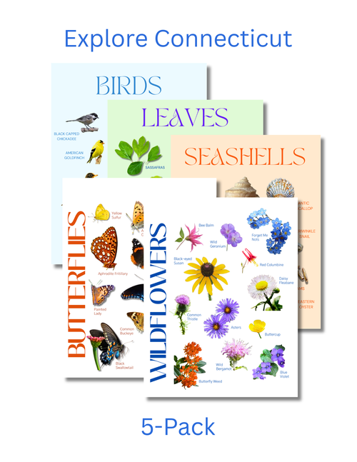 Connecticut Complete Nature Explorer Pack