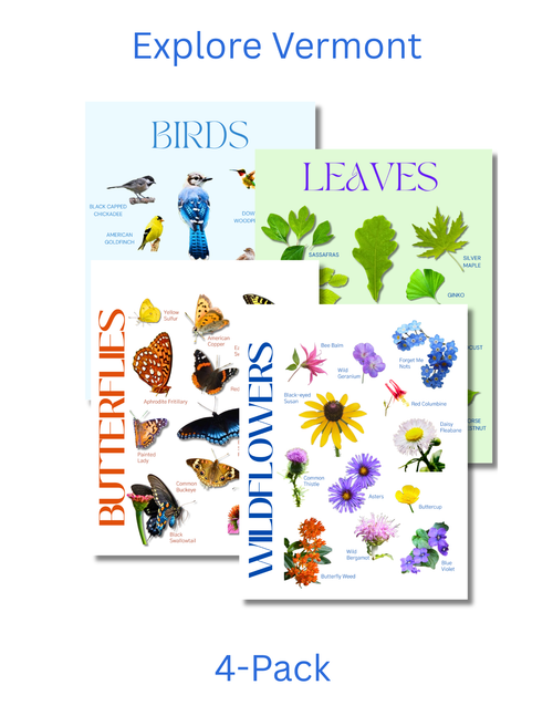 Vermont Complete Nature Explorer Pack