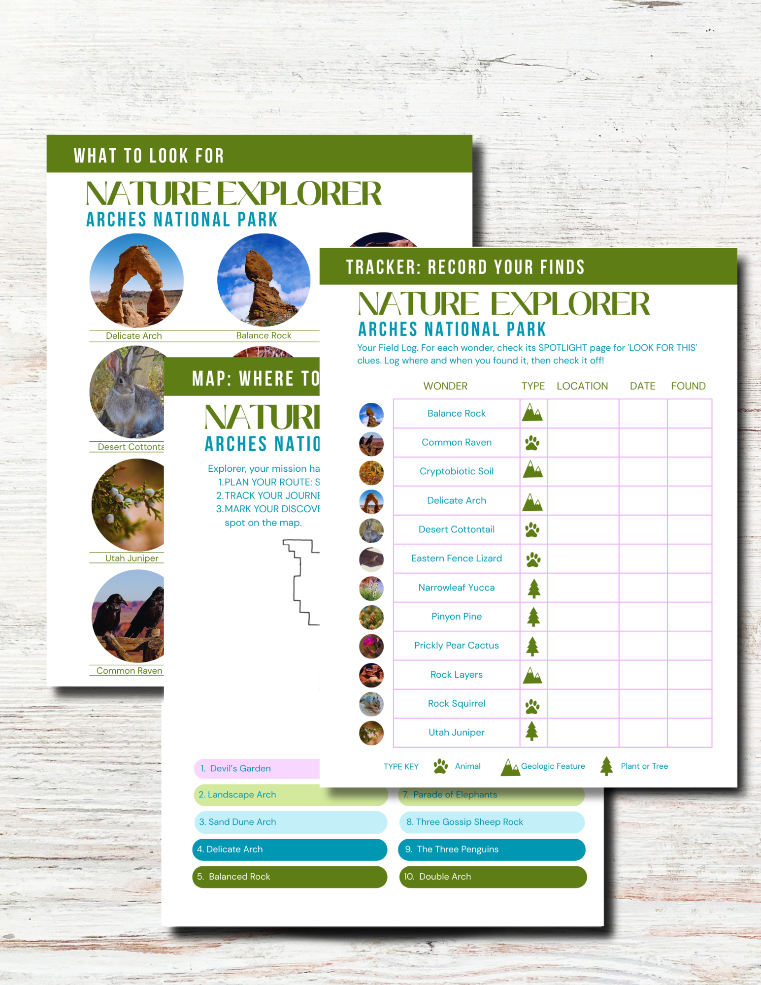 Arches National Park Activity Book for Kids