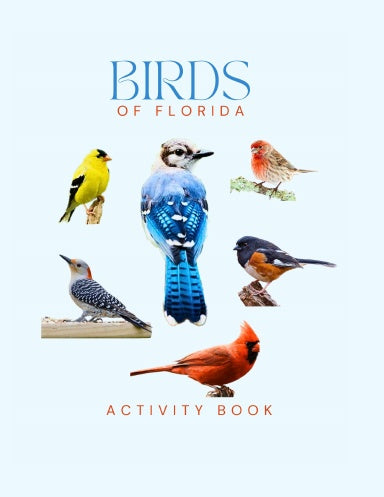 Birds of Delaware Activity Book