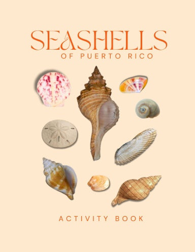 Seashells of Puerto Rico Activity Book for Kids
