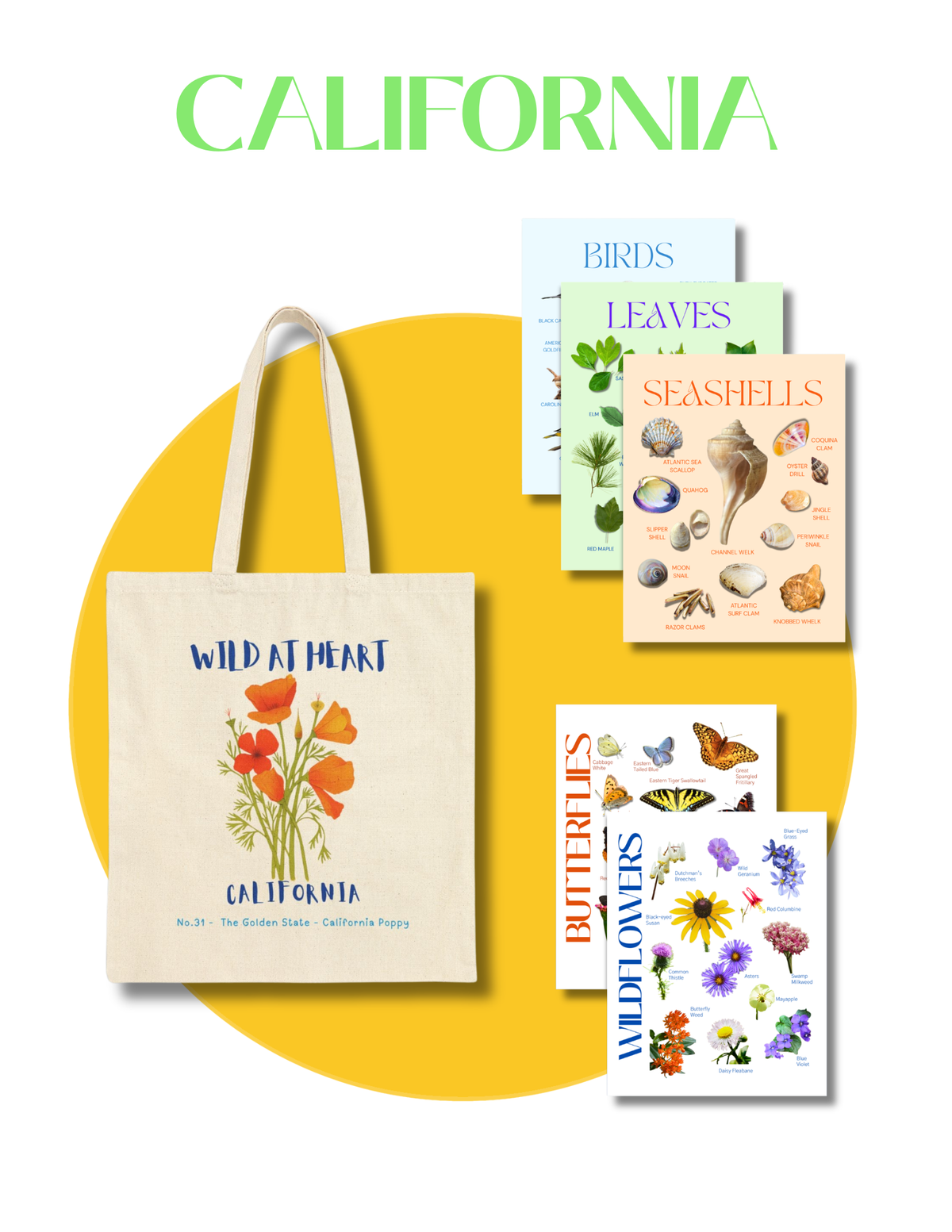 California Nature Gift Set for Kids Ages 7-12 – 5 Activity Books + Canvas Tote (Birds, Butterflies, Wildflowers, Leaves & Seashells)