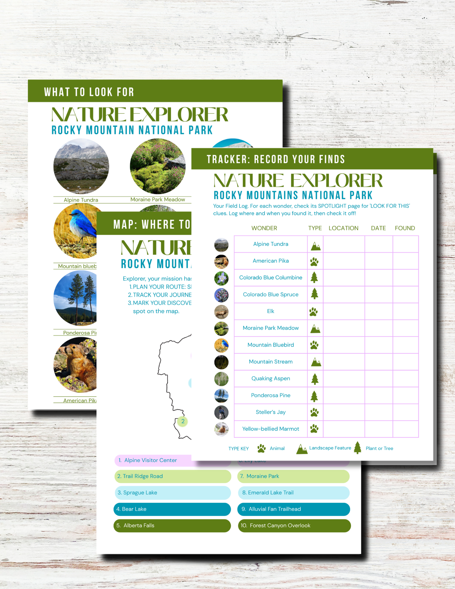 Rocky Mountain National Park Activity Book for Kids