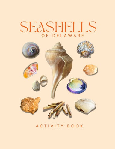 Seashells of Delaware Activity Book for Kids