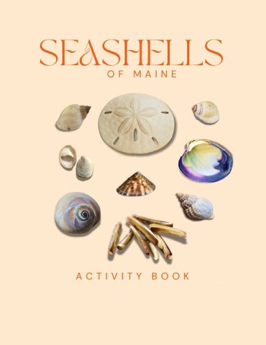 Seashells of Maine Activity Book for Kids
