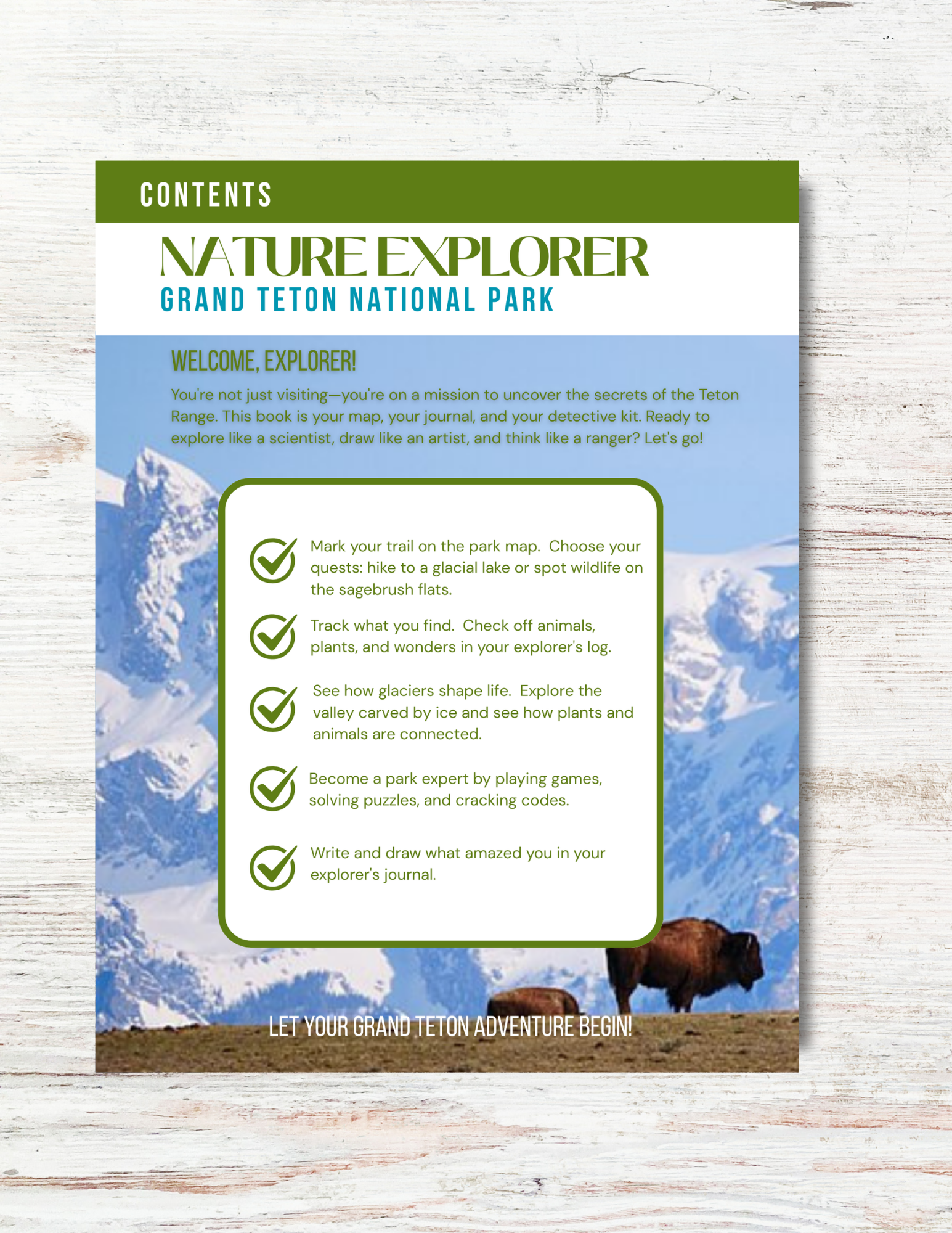 Grand Teton National Park Activity Book for Kids