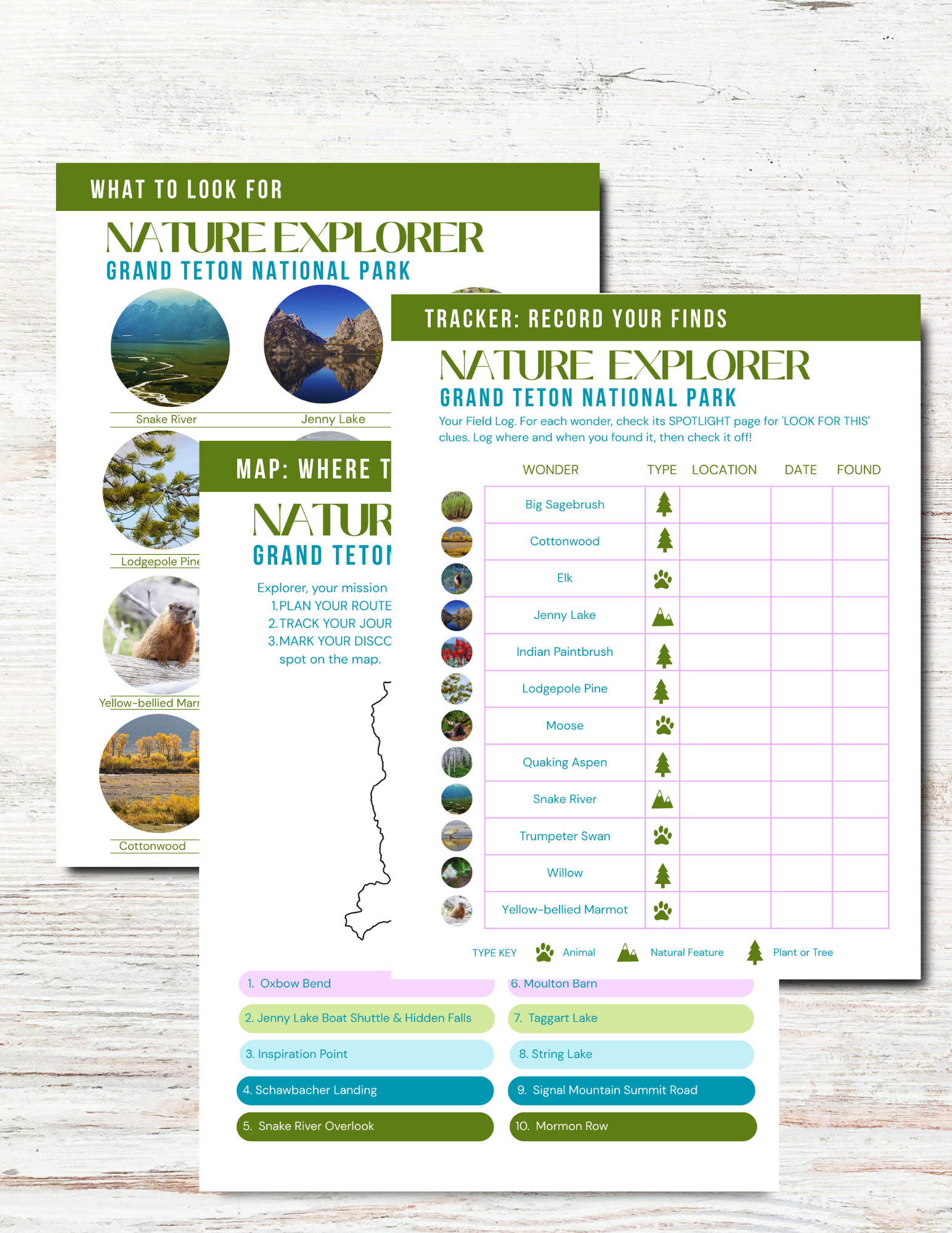 Grand Teton National Park Activity Book for Kids