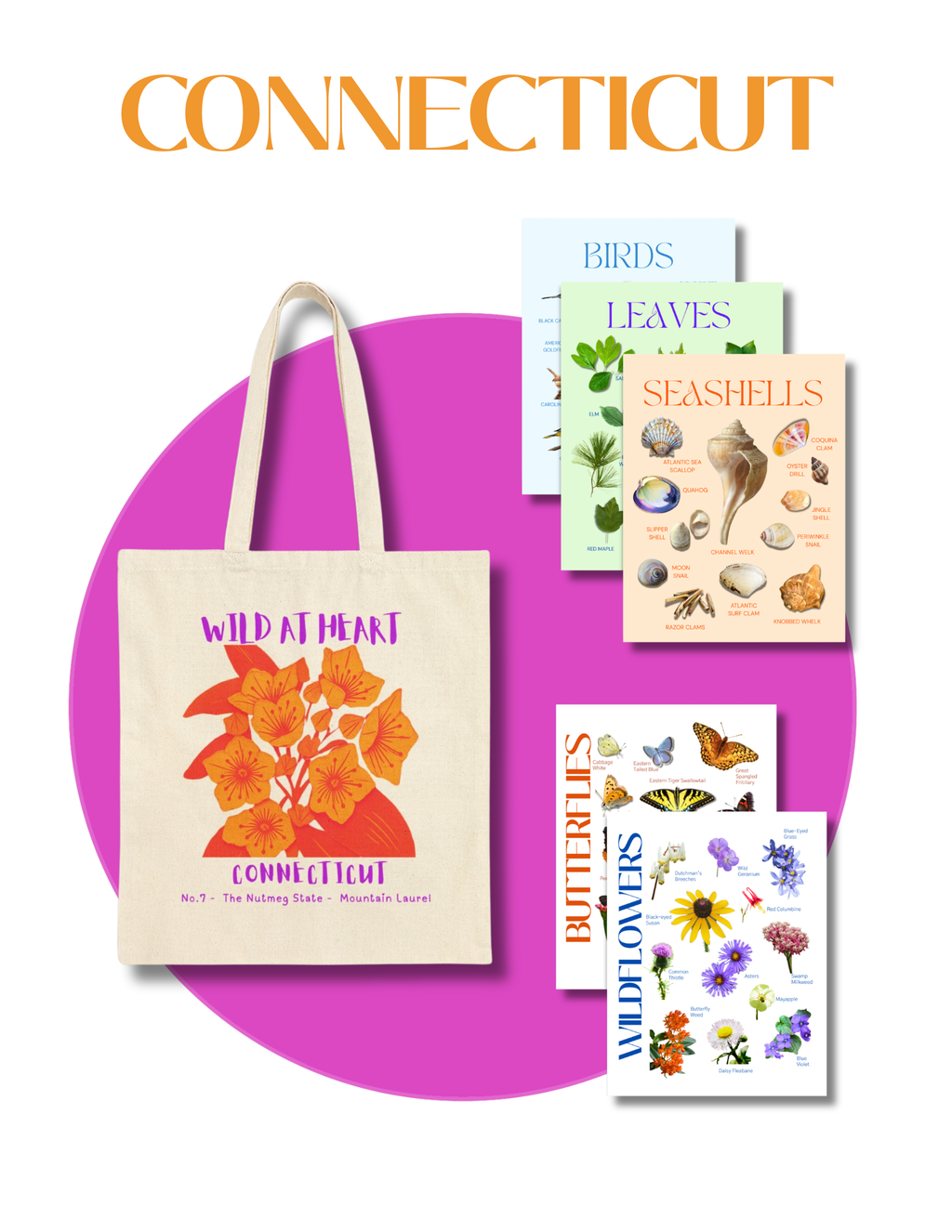 Connecticut Nature Gift Set for Kids Ages 7-12 – 5 Activity Books + Canvas Tote (Birds, Butterflies, Wildflowers, Leaves & Seashells)