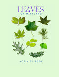 Leaves of Maryland Activity Book