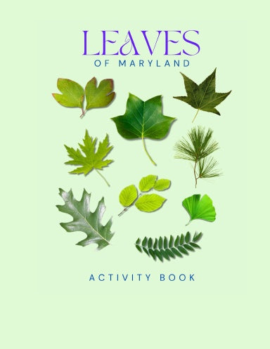 Leaves of Maryland Activity Book for Kids