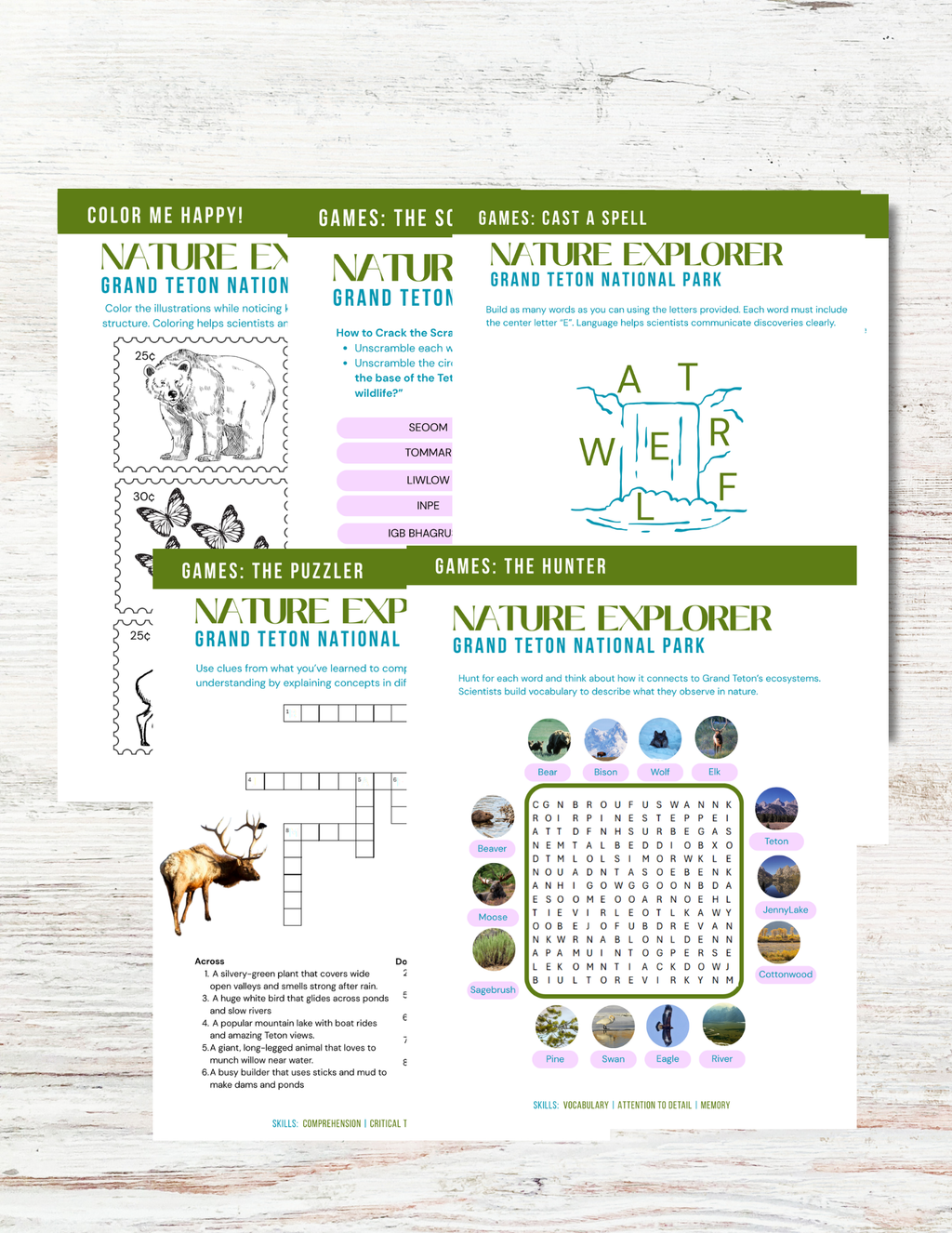 Grand Teton National Park Activity Book for Kids
