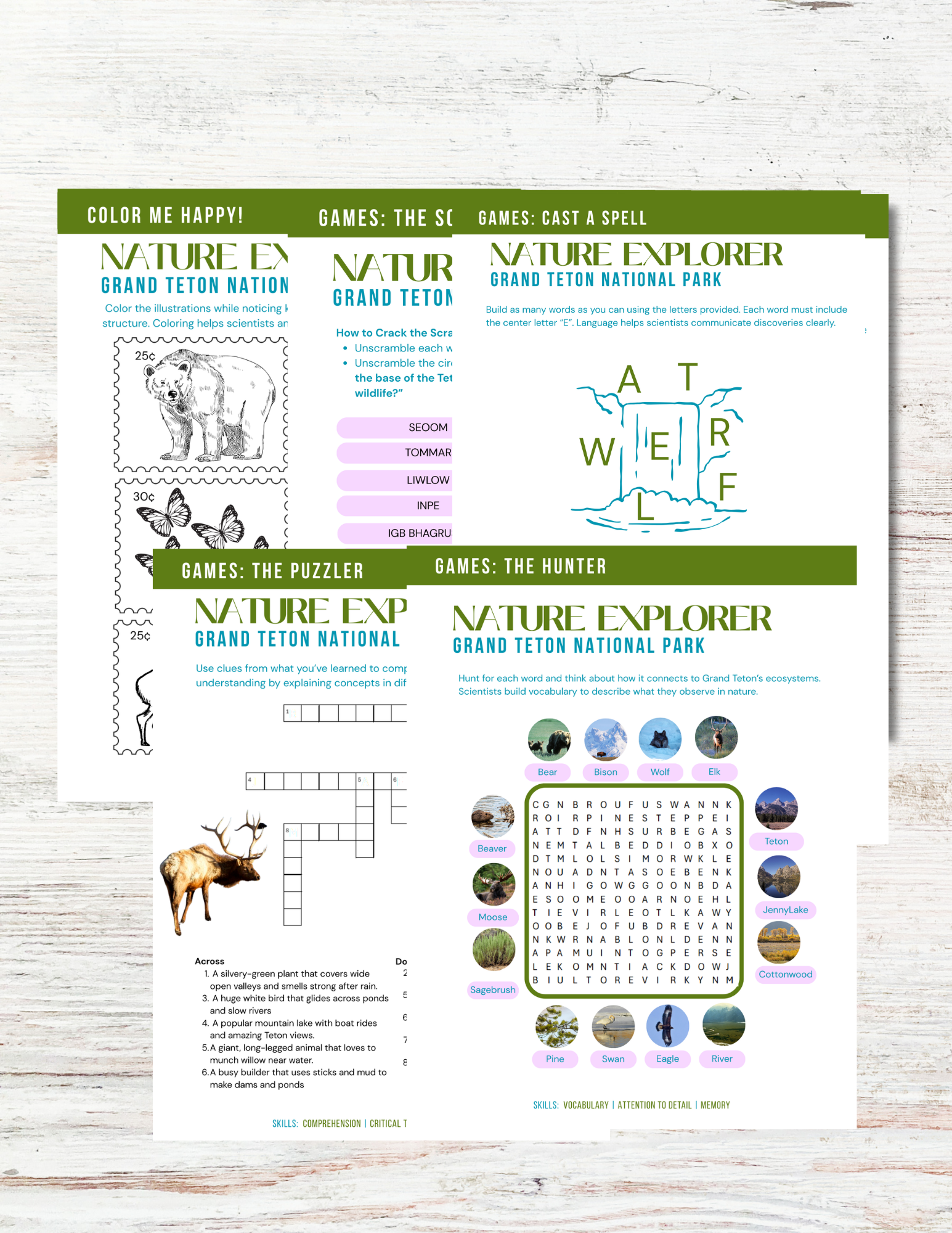 Grand Teton National Park Activity Book for Kids