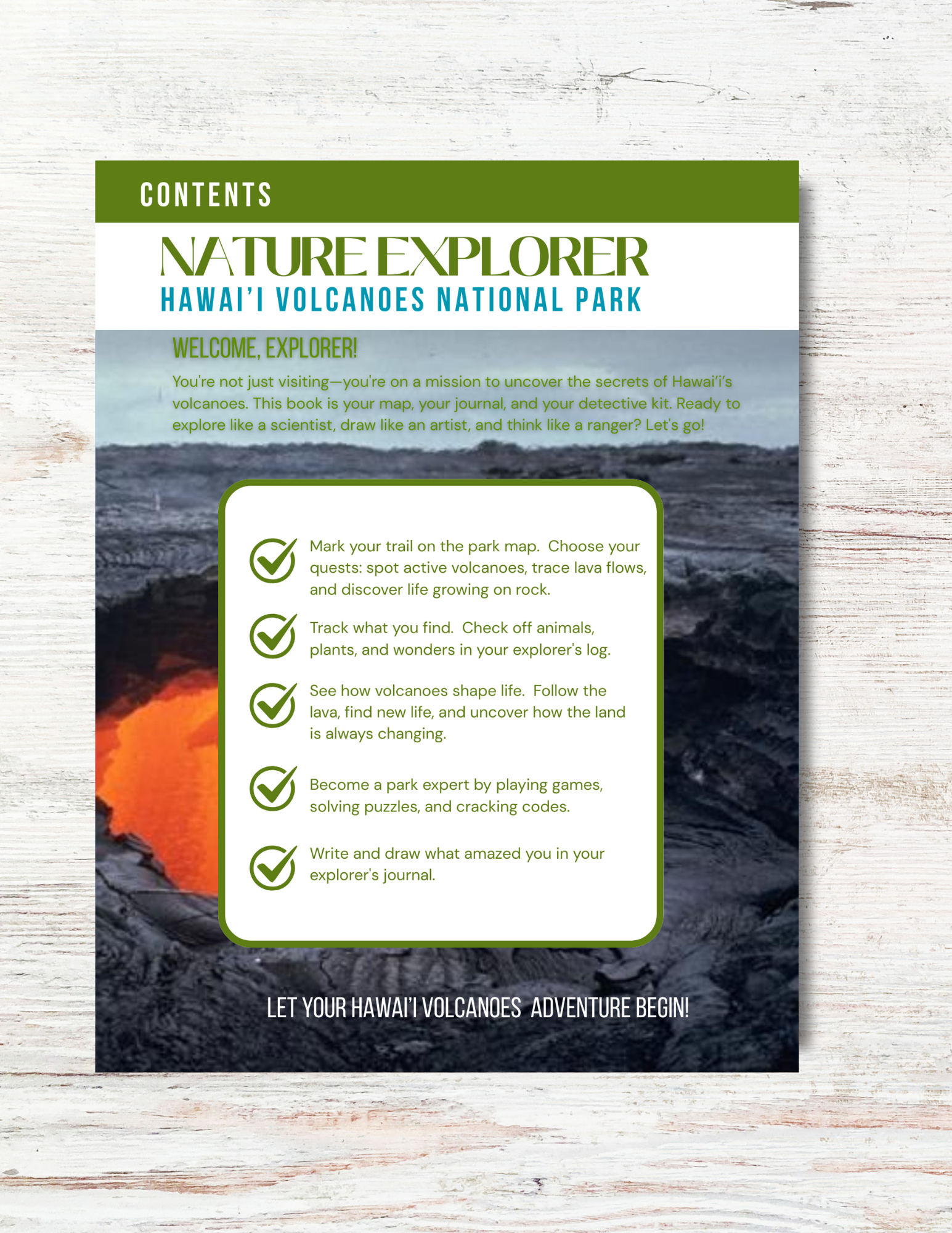 Hawaii Volcanos National Park Activity Book for Kids