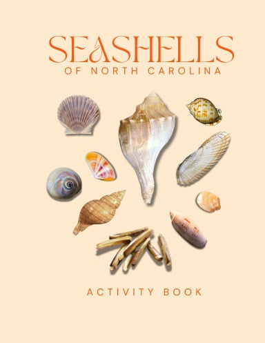 Seashells of North Carolina Activity Book for Kids