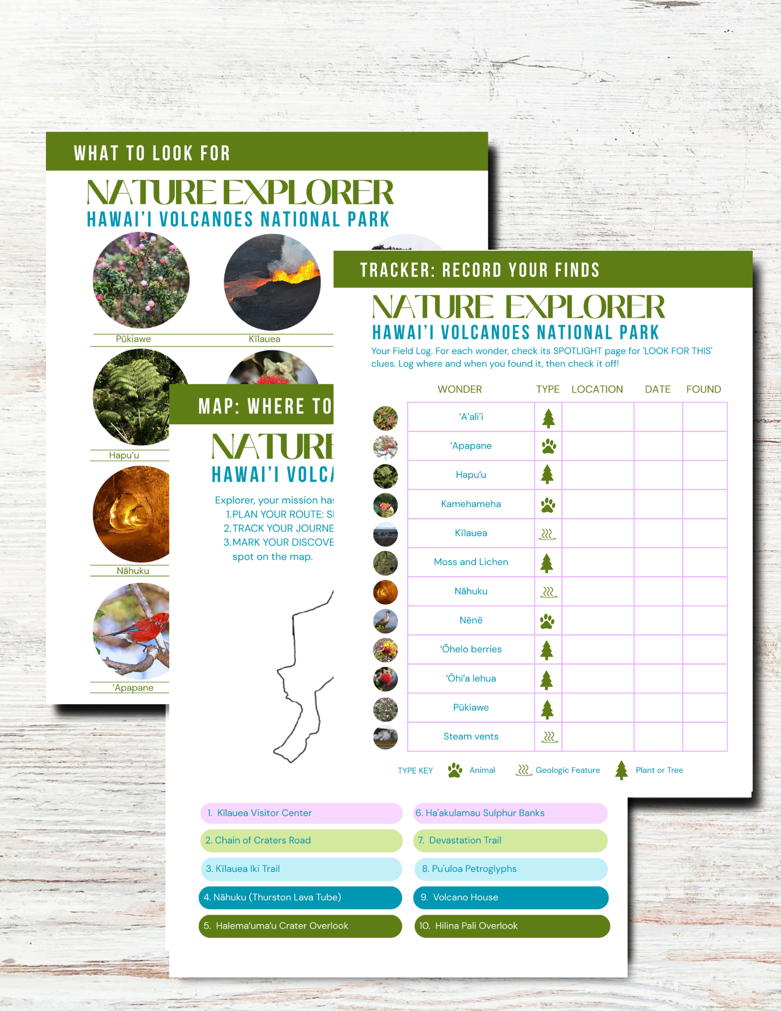 Hawaii Volcanos National Park Activity Book for Kids