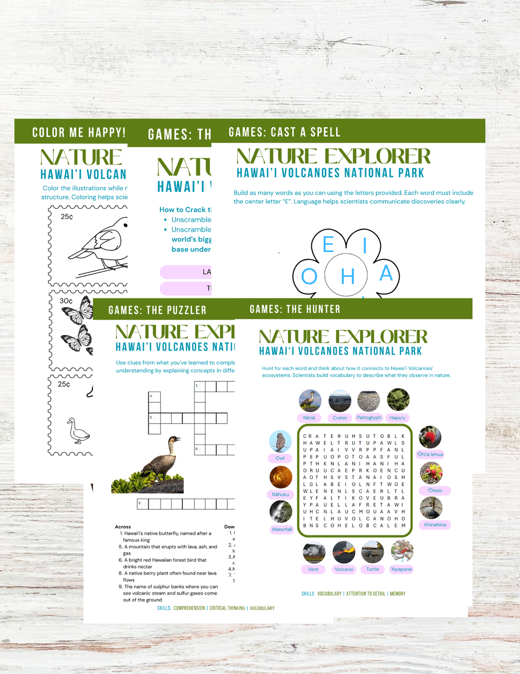 Hawaii Volcanos National Park Activity Book for Kids