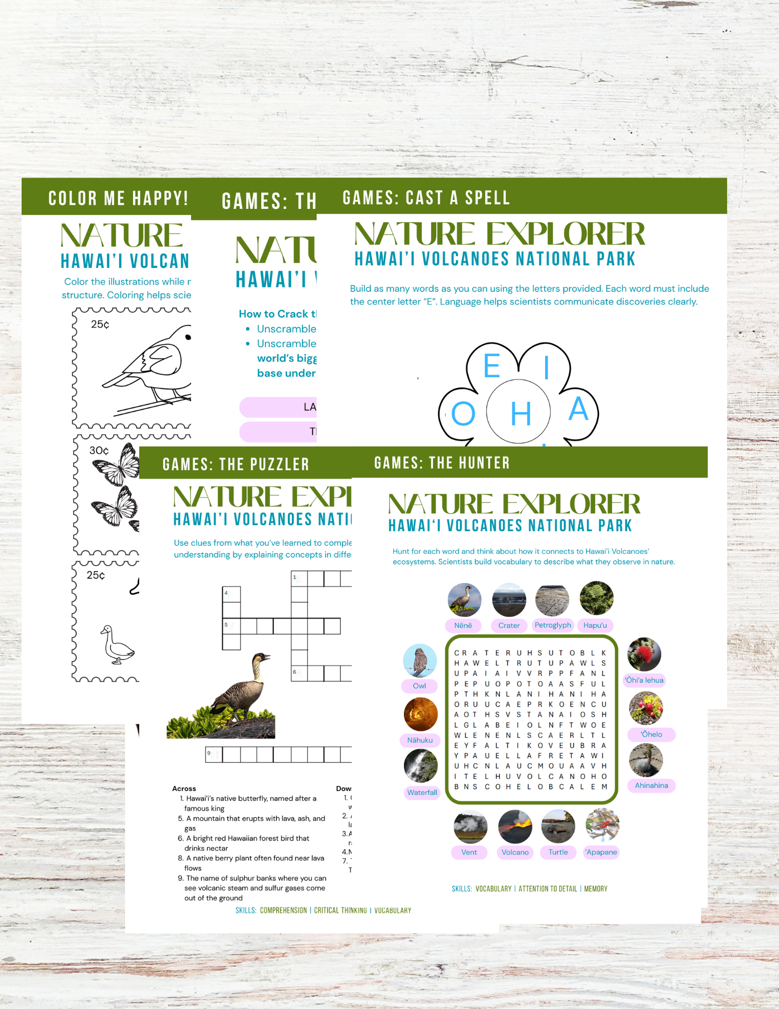 Hawaii Volcanos National Park Activity Book for Kids
